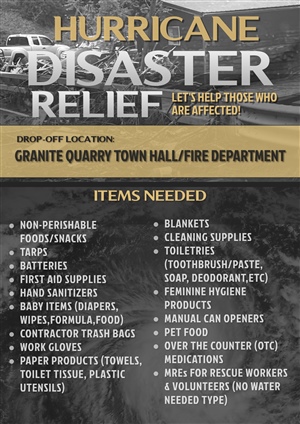 Hurricane Helene Disaster Relief Project